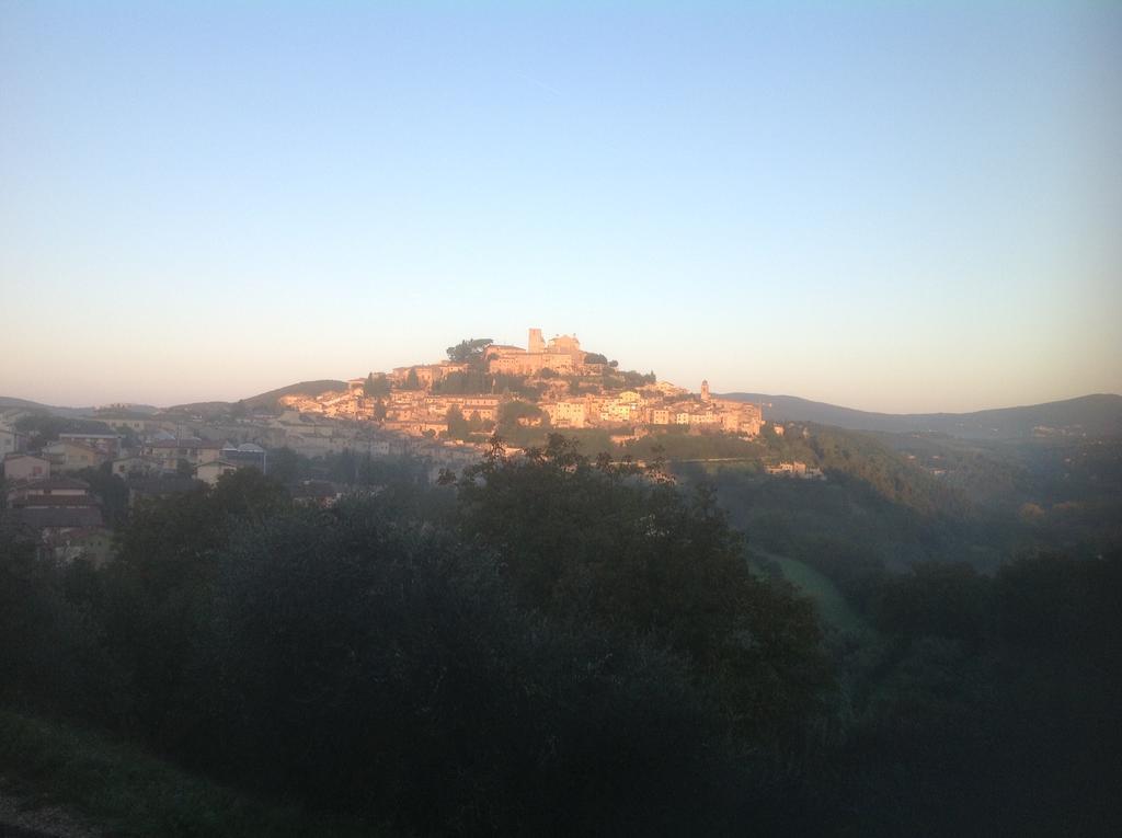 Marco & Andrea Agriturismo أميليا المظهر الخارجي الصورة