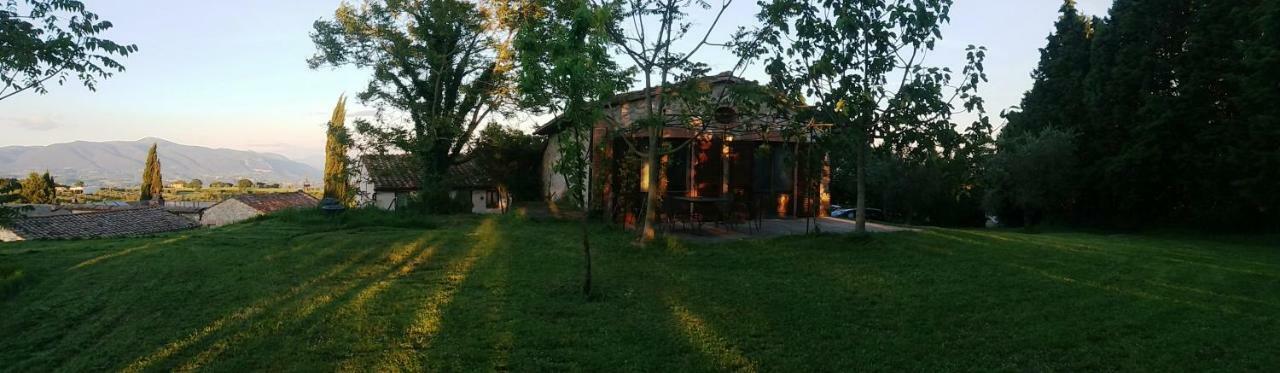 Marco & Andrea Agriturismo أميليا المظهر الخارجي الصورة