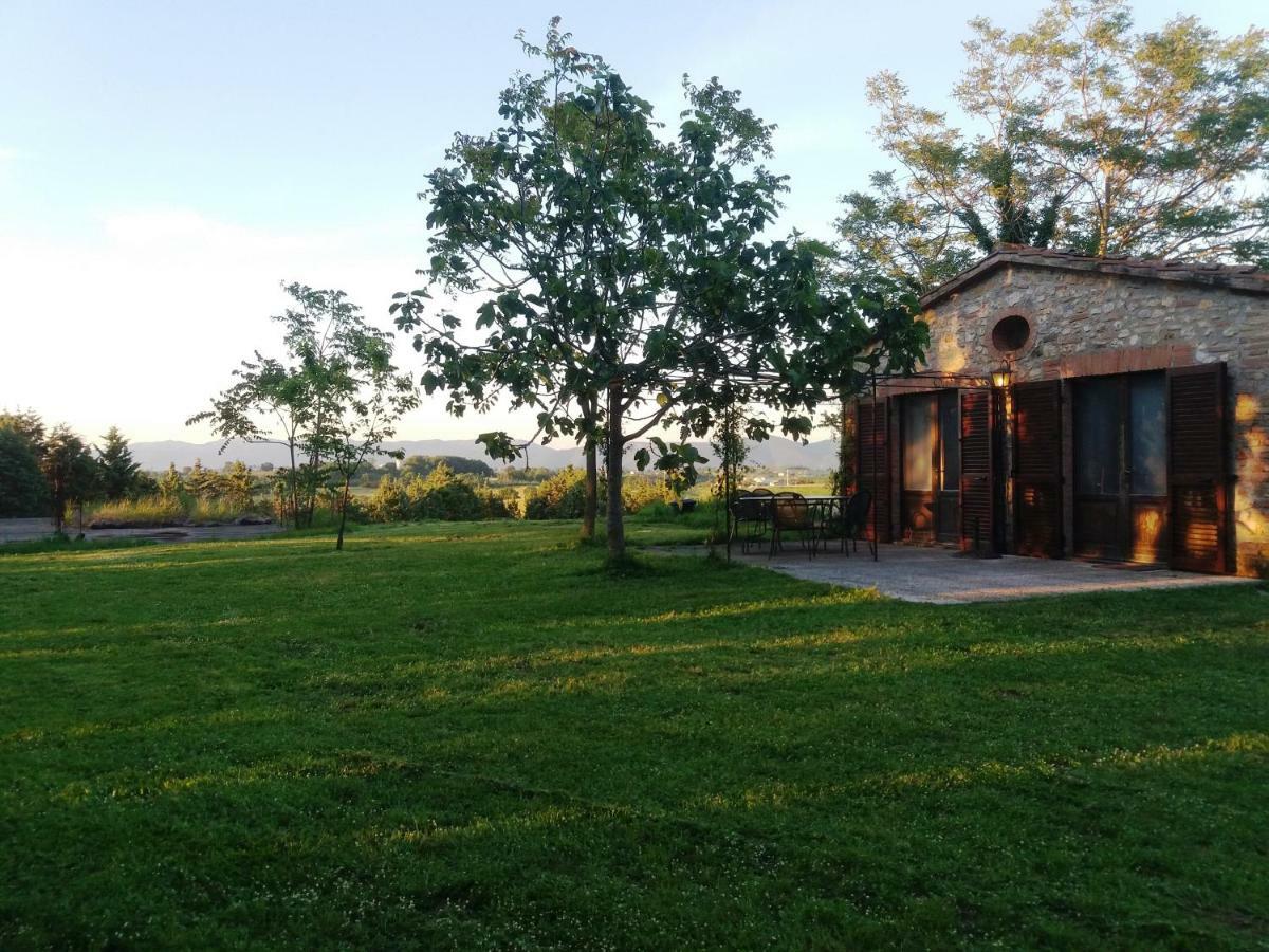 Marco & Andrea Agriturismo أميليا المظهر الخارجي الصورة